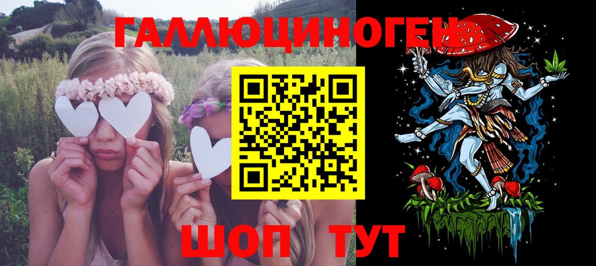 Гусь-Хрустальный  Галлюциногенные грибы Cubensis  Вход с VPN 
